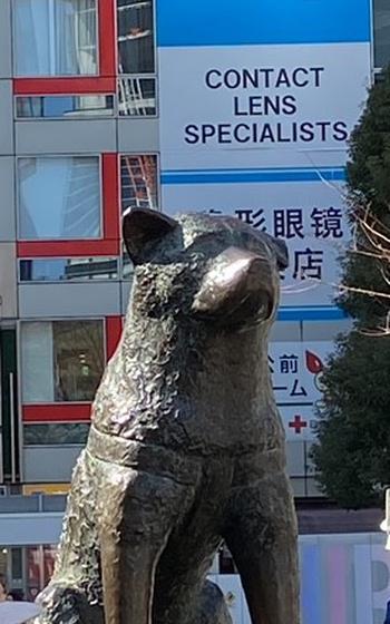 Statue of Hachi in Shibuya